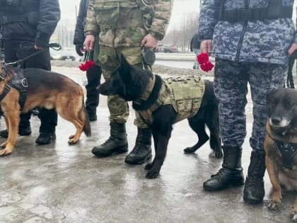 Кинологи Росгвардии почтили память предшественников, оборонявших блокадный Ленинград