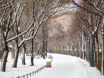 Главный синоптик Петербурга напомнил, когда на город обрушатся морозы