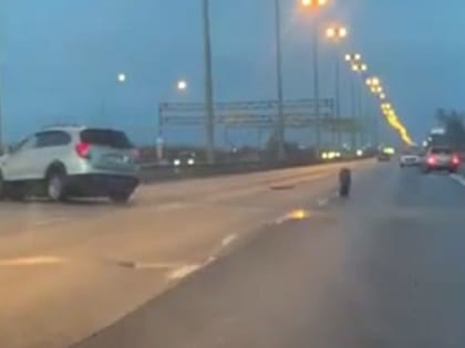 «Приора» пошла в занос на гололеде и врезалась в Chevrolet на Киевском шоссе