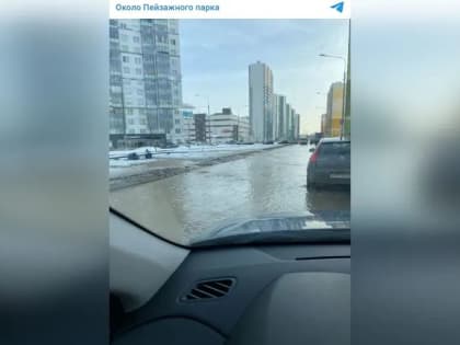 Затопление Муринской дороги привело к изменению шести автобусных маршрутов