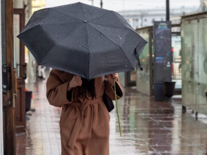 В Петербурге сегодня небольшие дожди