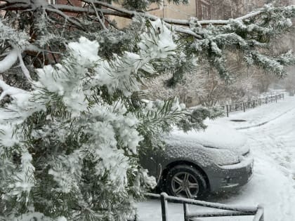 В Ленобласти в ближайшие дни прогнозируют небольшой снег и до -2 градусов