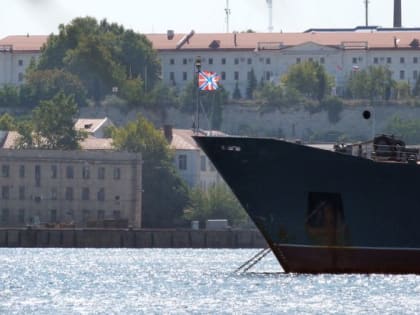 Петербуржцы нашли нелегальный способ ездить в Европу на шоппинг