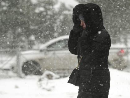 МЧС предупредило жителей Ленобласти о надвигающемся снегопаде