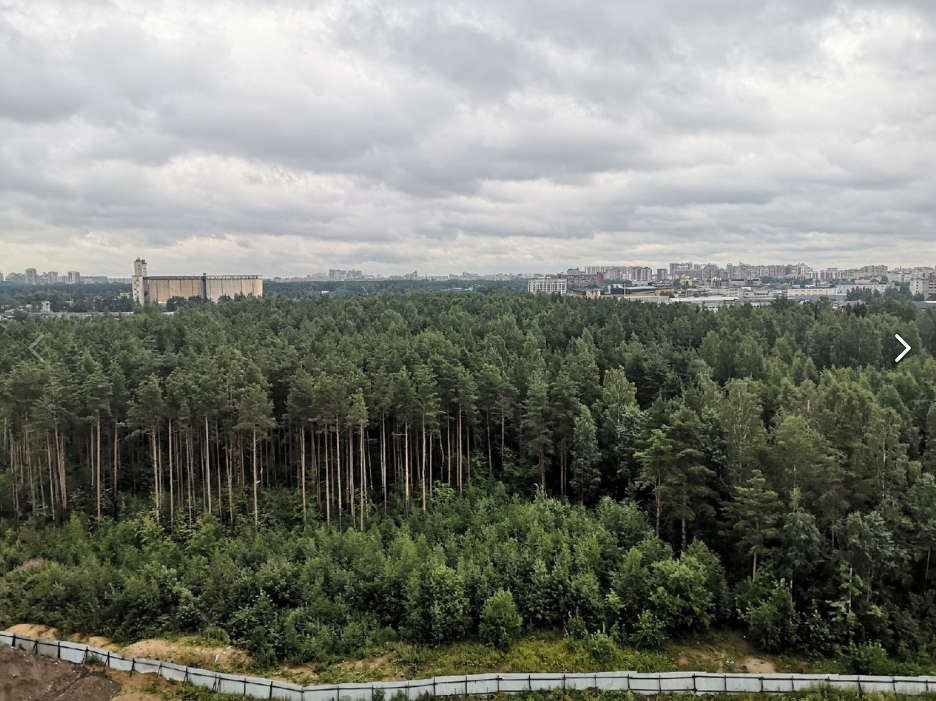 Шуваловский карьер фото санкт петербург