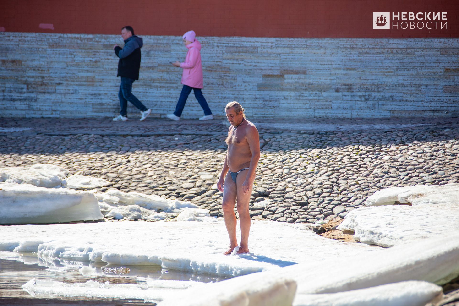 моржи у петропавловской крепости