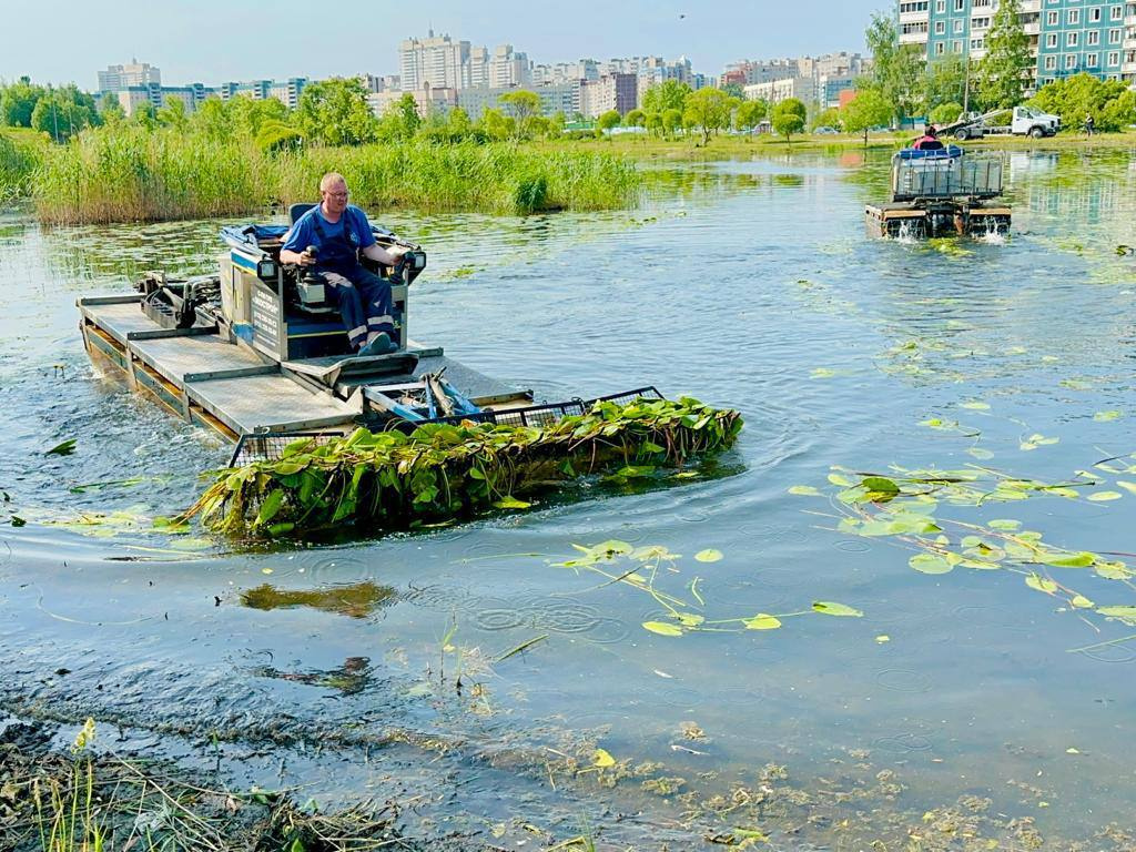 Проект очищение водоемов