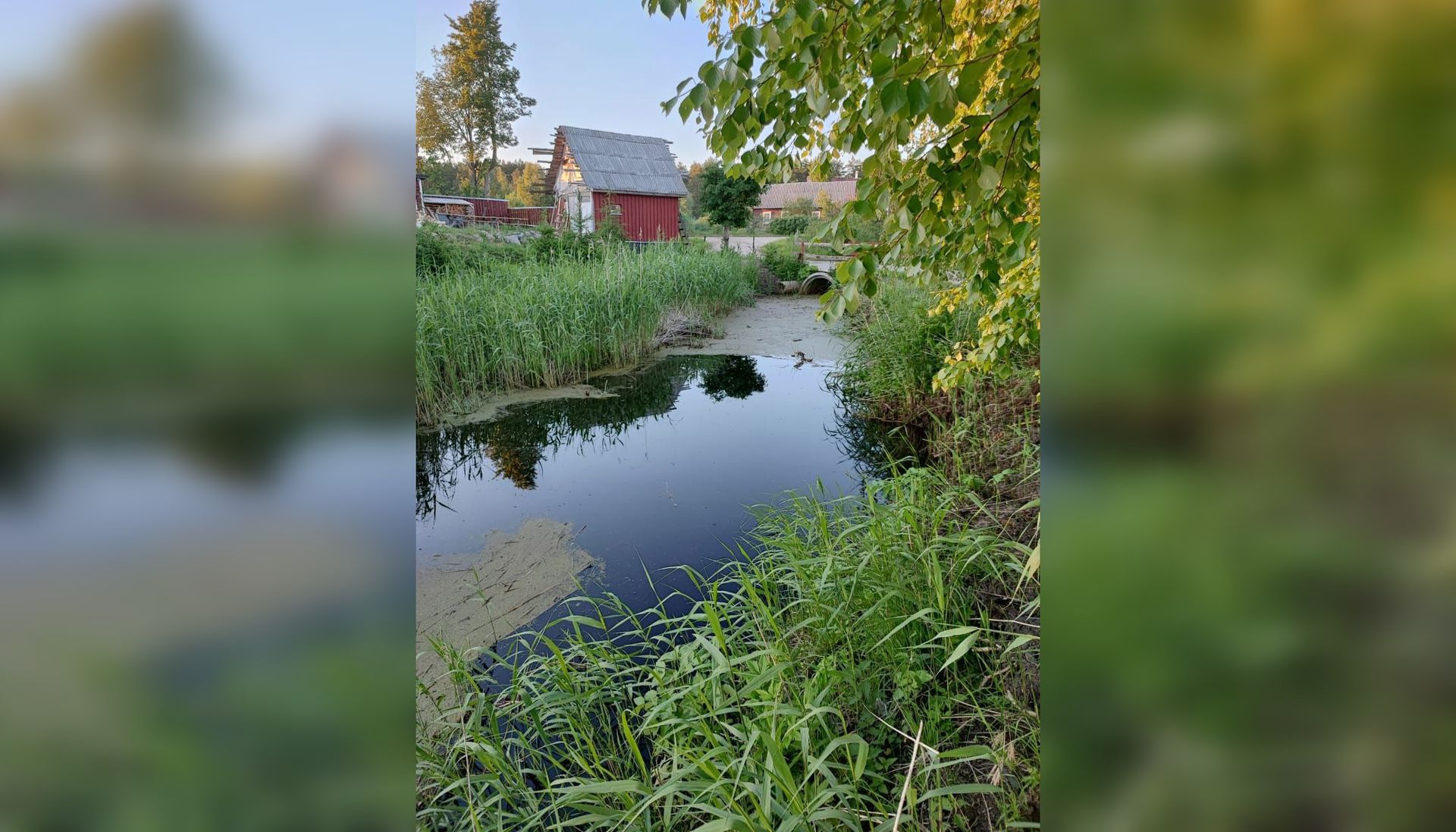 усть луга ленинградская область фото