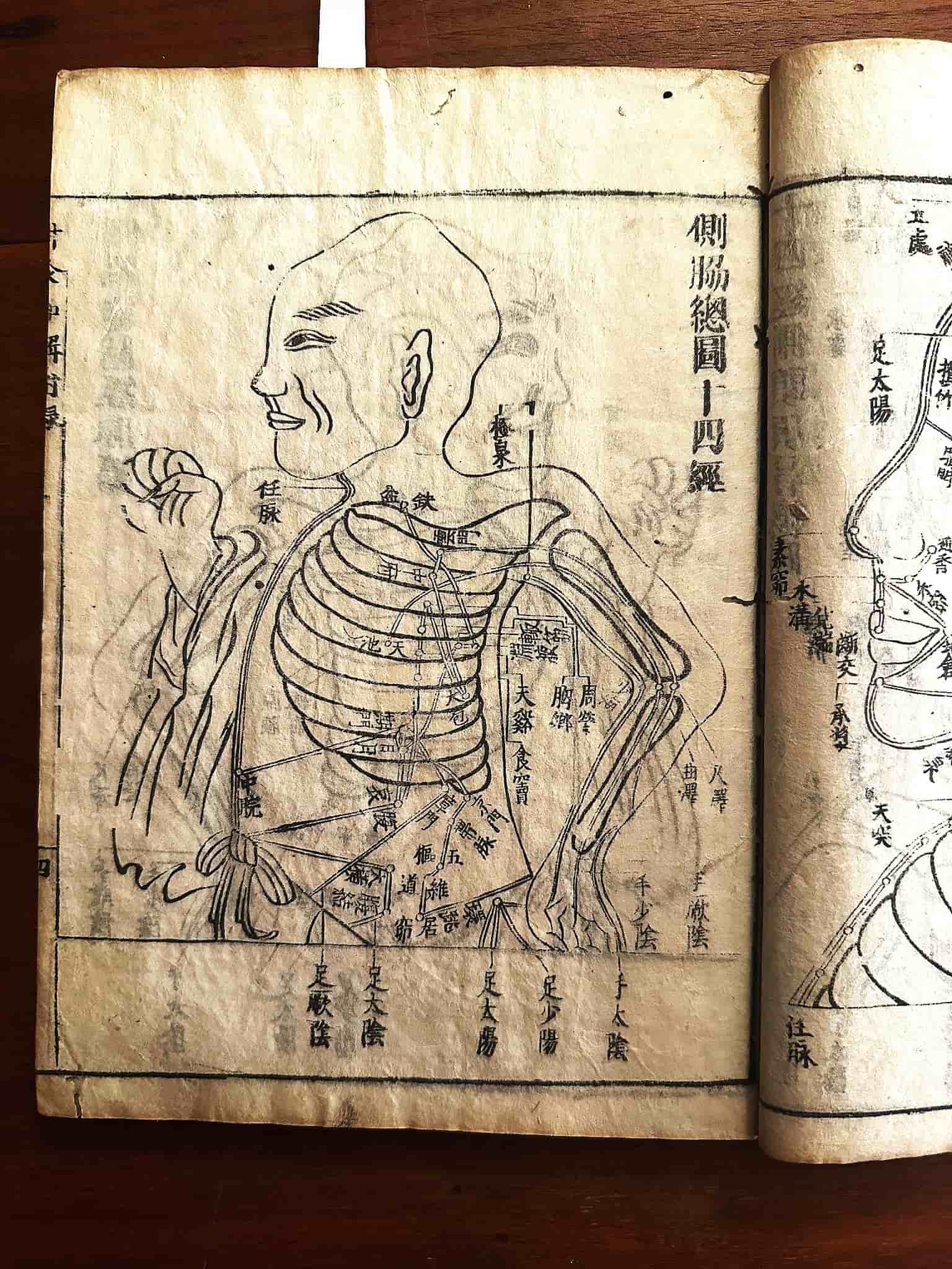 Ancient Traditional Chinese Medicine diagram showing meridian pathways studied by Dr. Caron at Gotham Acupuncture in NYC's Upper West Side, where he integrates these traditional concepts with modern acupuncture techniques at his UWS practice