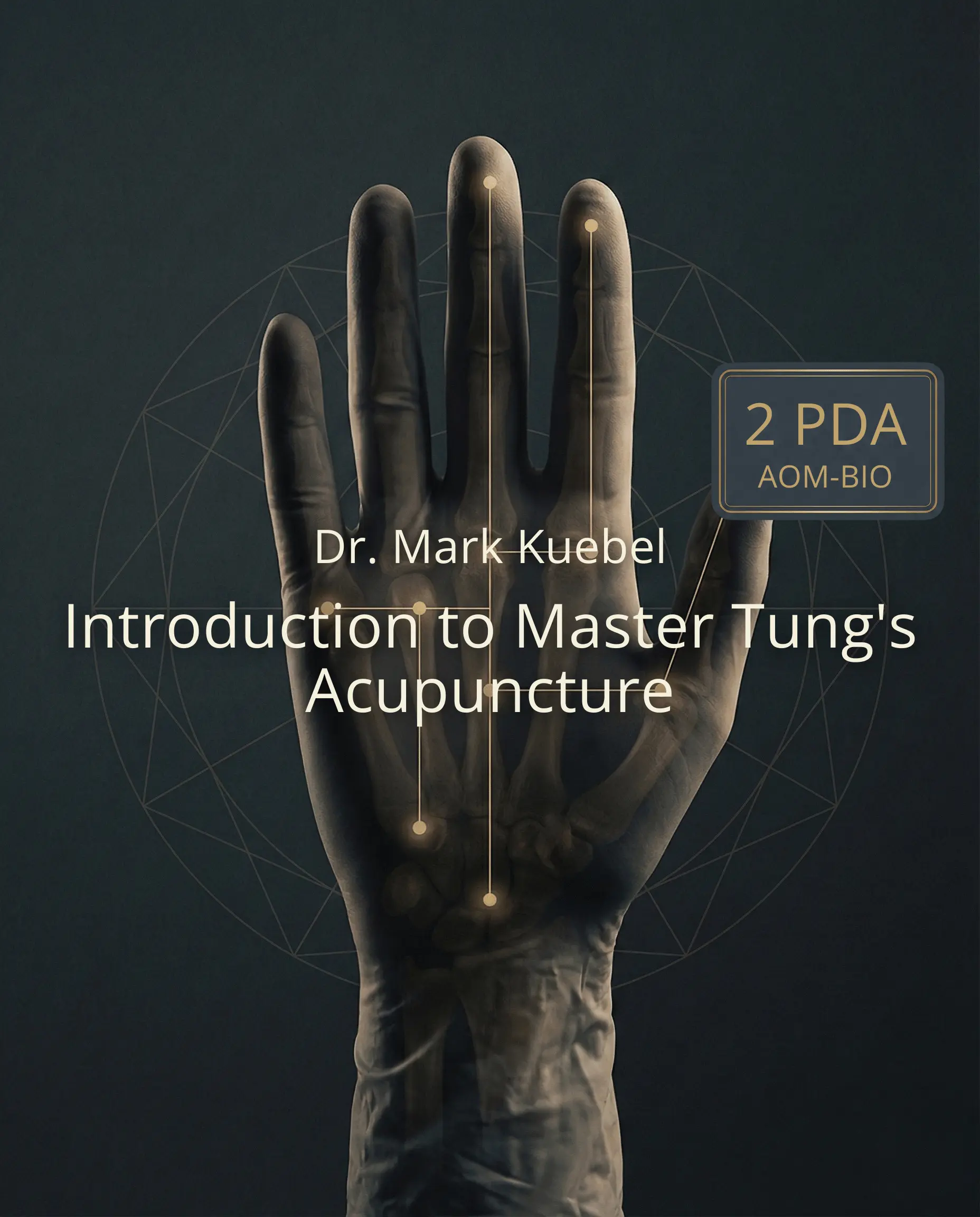 Introduction to Master Tung's Acupuncture — Mark Kuebel L.Ac.