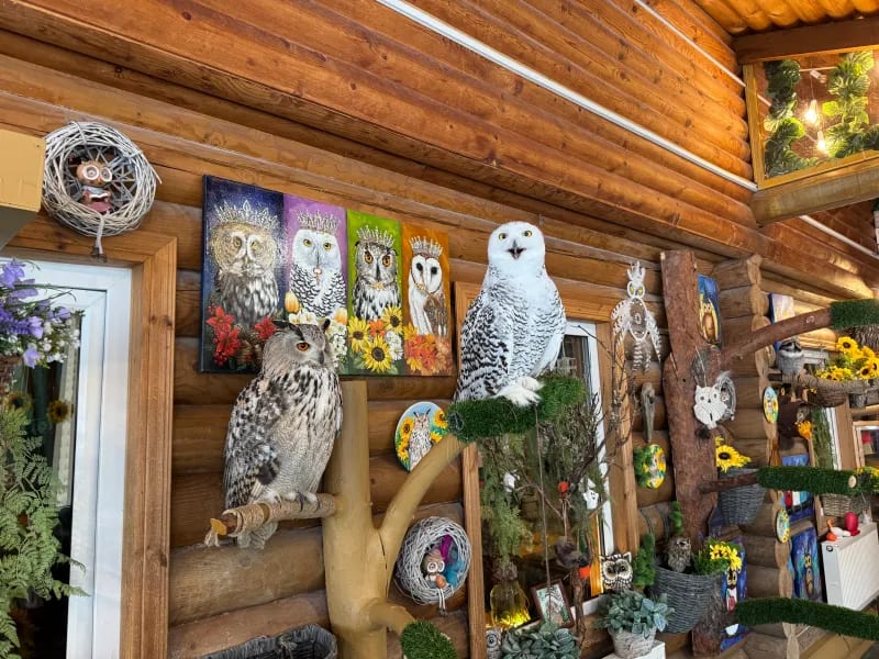 Музей Совушек