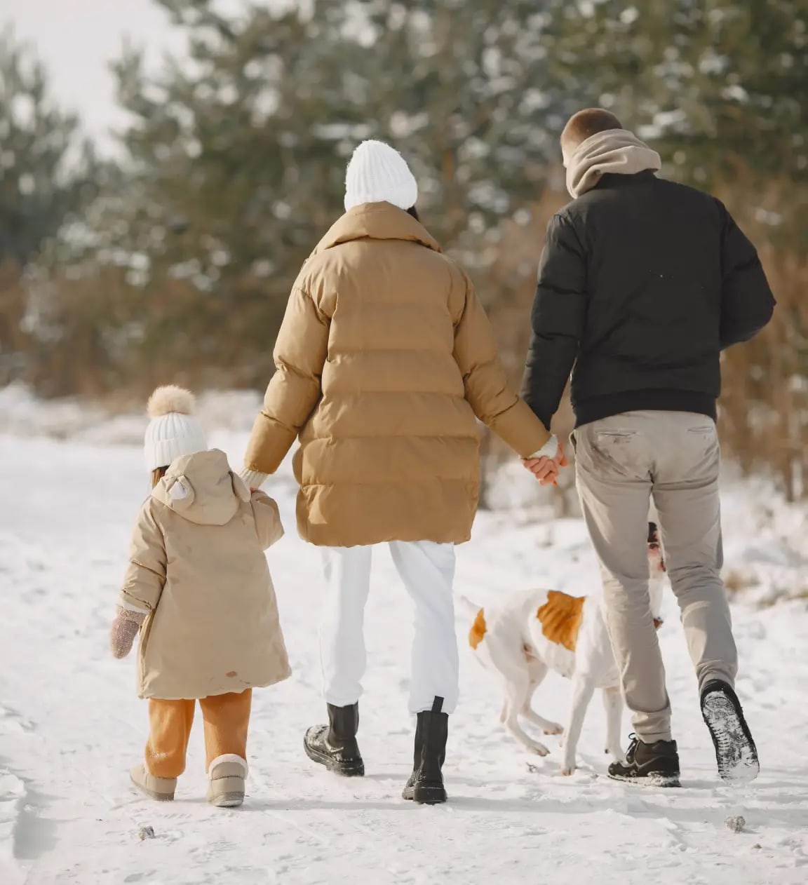 Идём всей семьёй