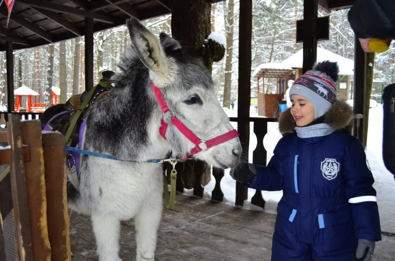 Радуга в Зеленогорсе