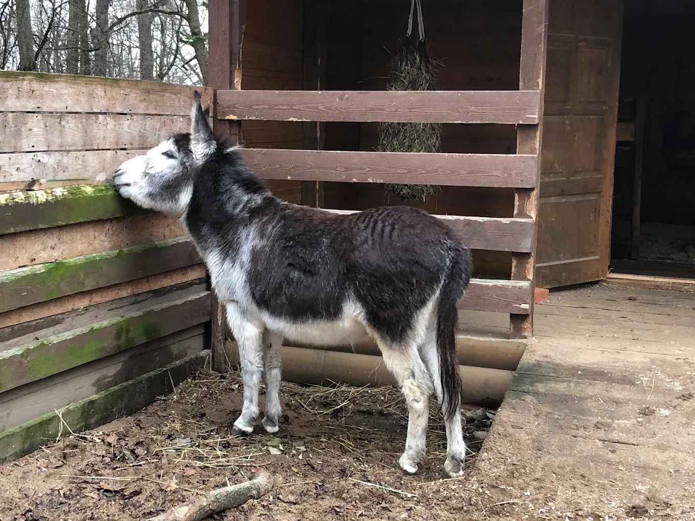 ЦПКО им. С.М. Кирова