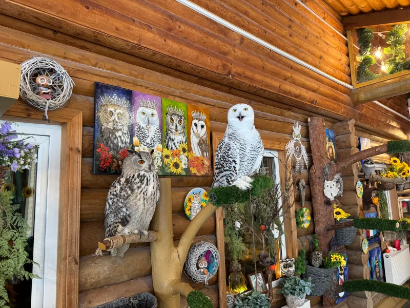 Музей Совушек