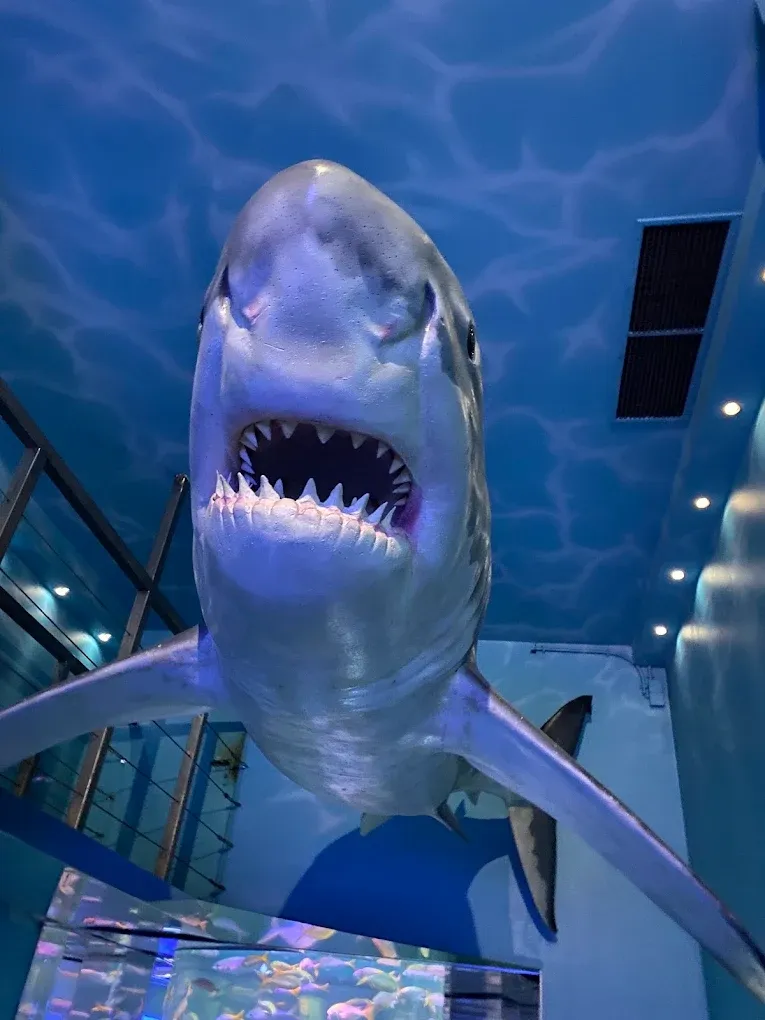 Океанариум «Планета Нептун»