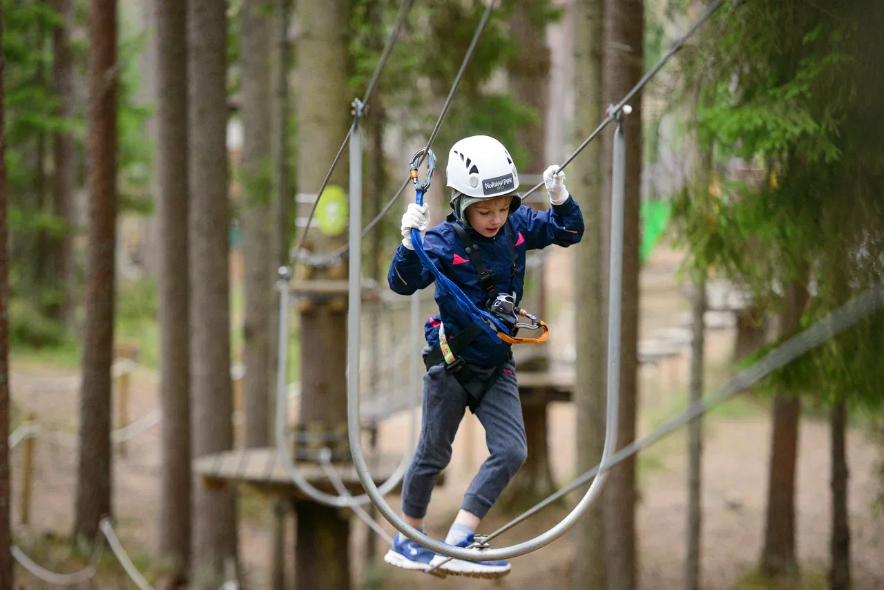 Norway Park Орех