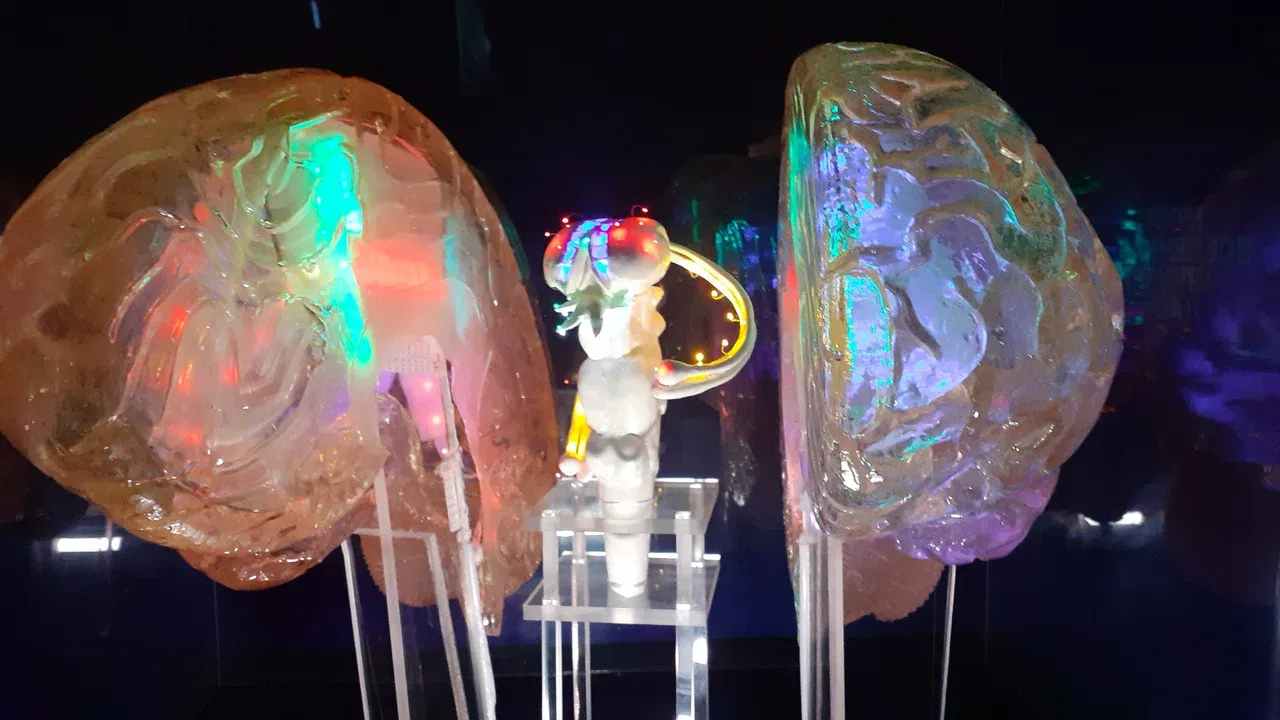 Музей мозга