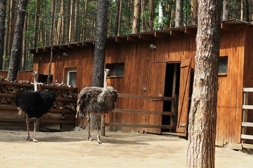 Мистер Фишер