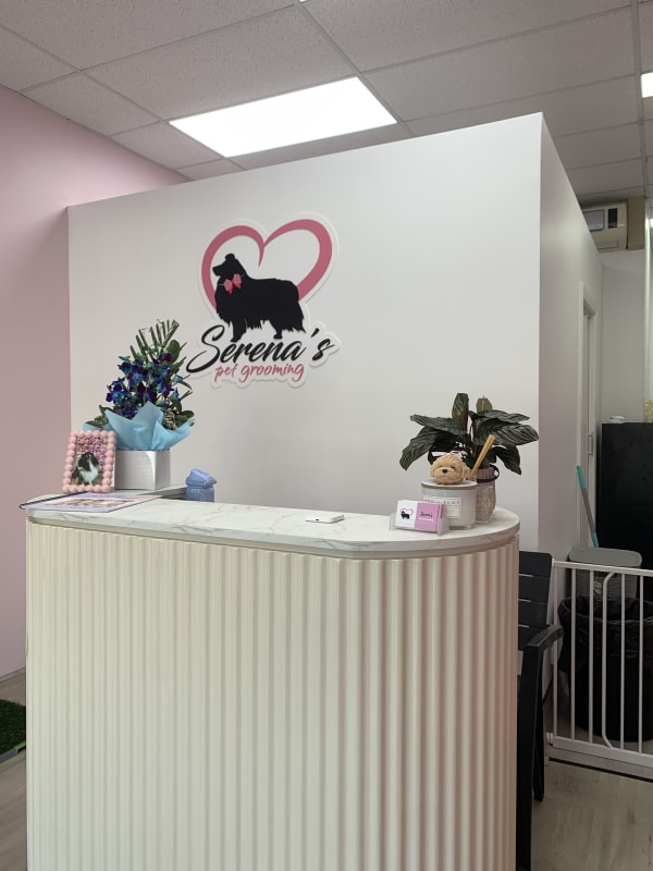 A freshly groomed dog at Serena's Pet Grooming
