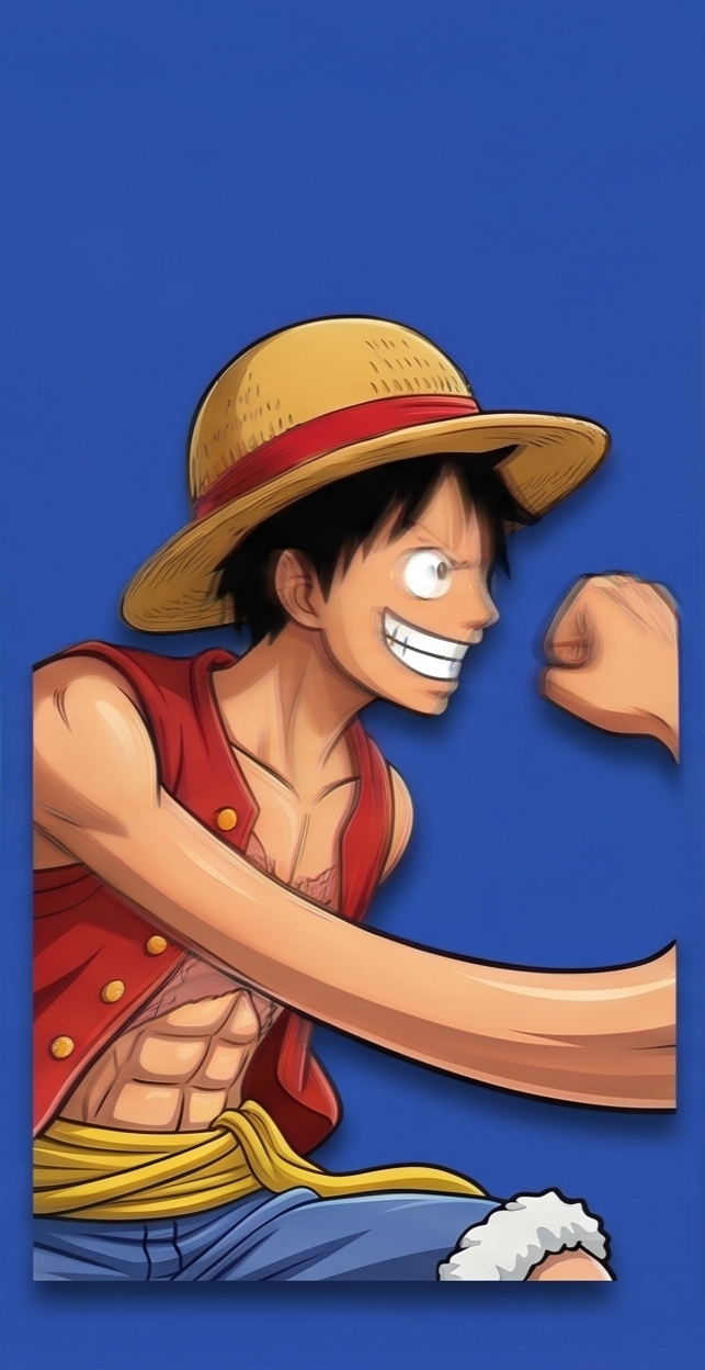 One Piece Showcase