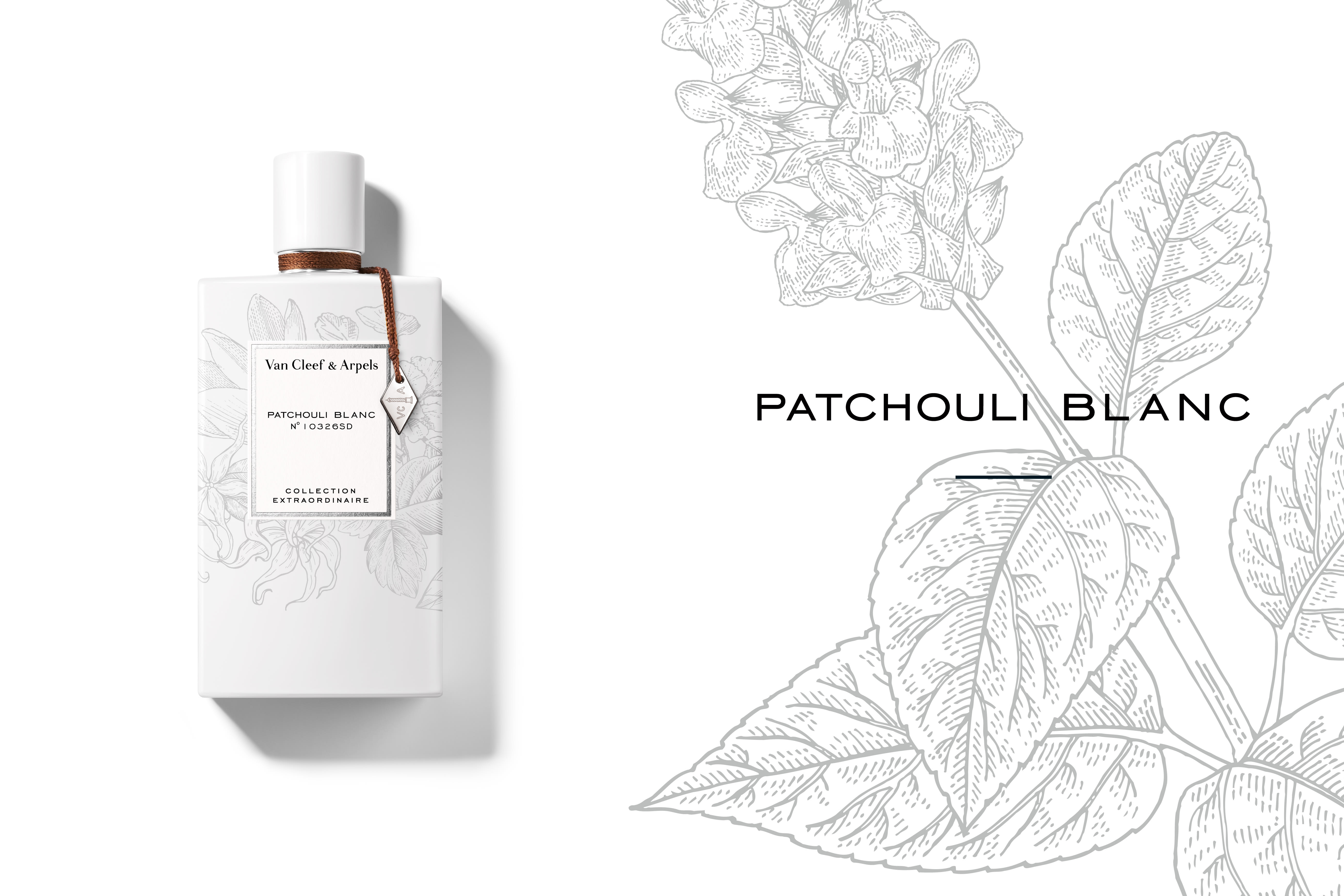 Patchouli Blanc perfume