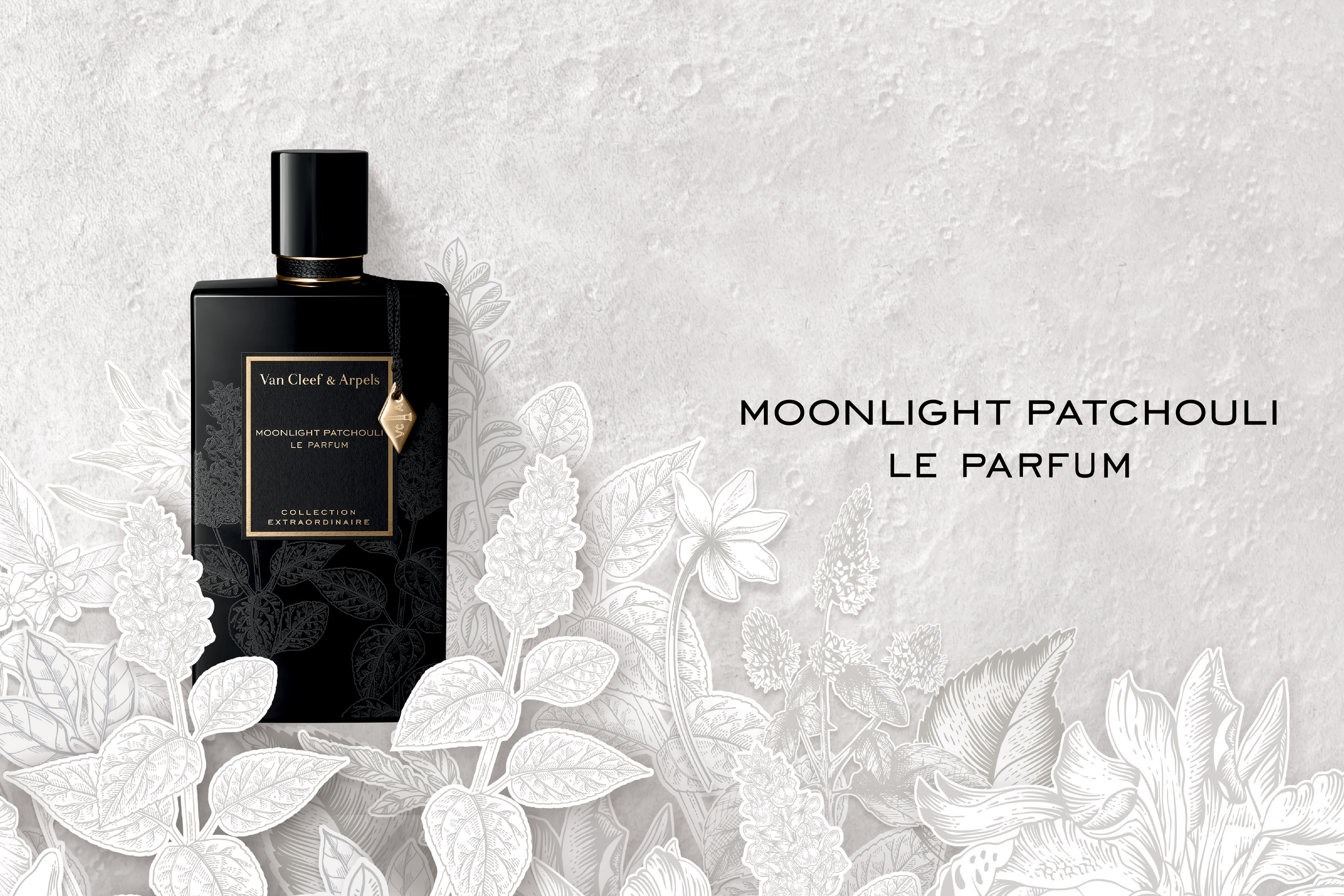 Moonlight Patchouli perfume