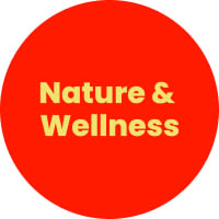 Image without a name 