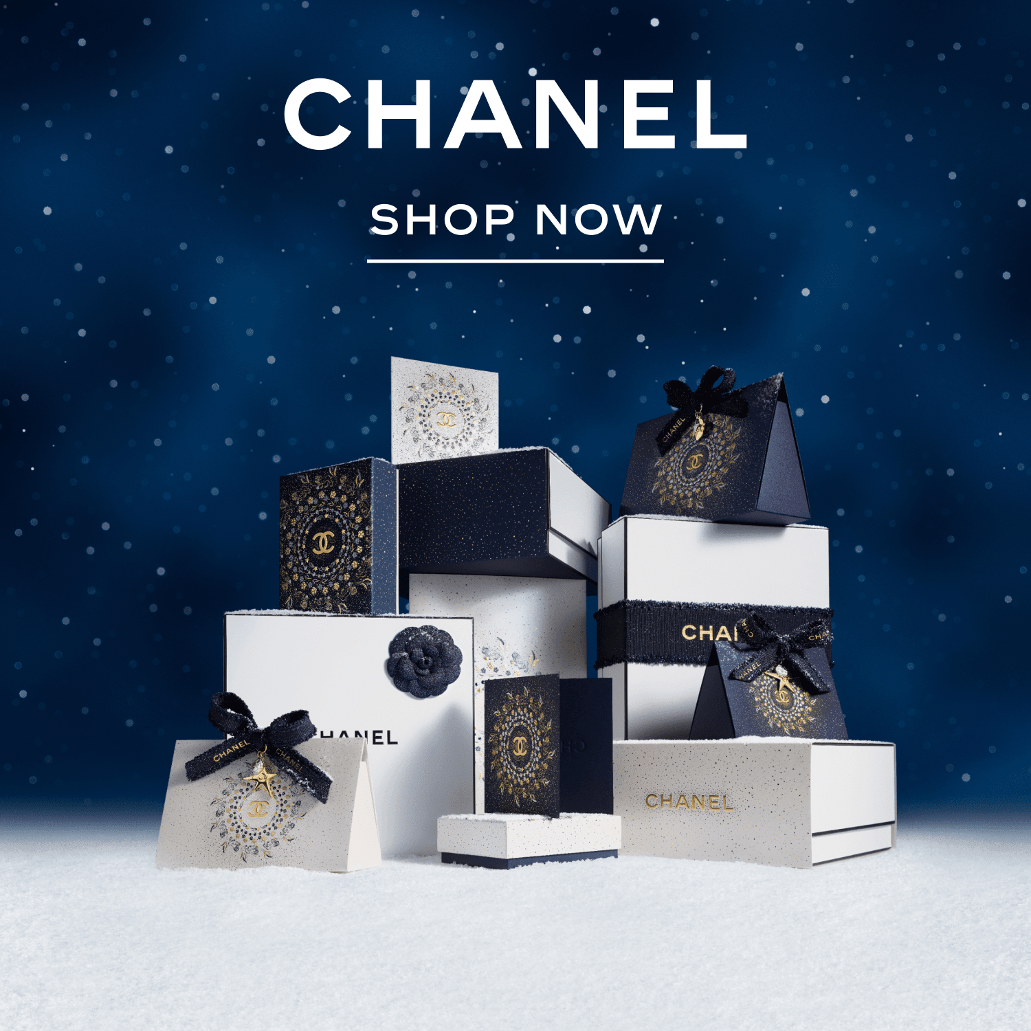 Image without a name Image without a name