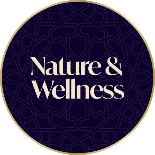 Image without a name 