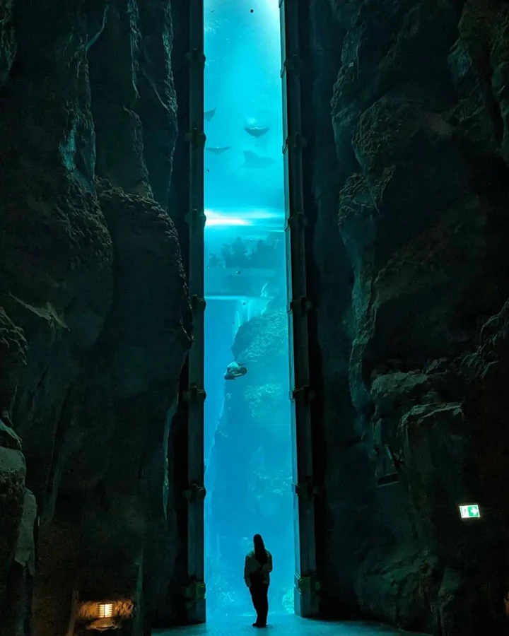Istanbul: Florya Aquarium — фото 1