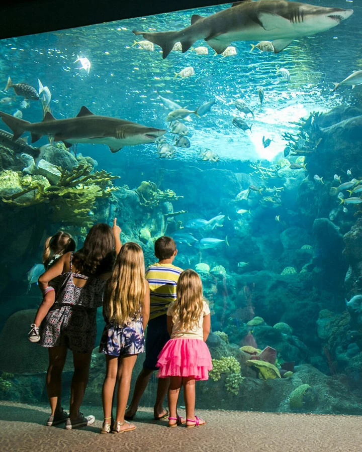 Istanbul: Florya Aquarium — фото 2