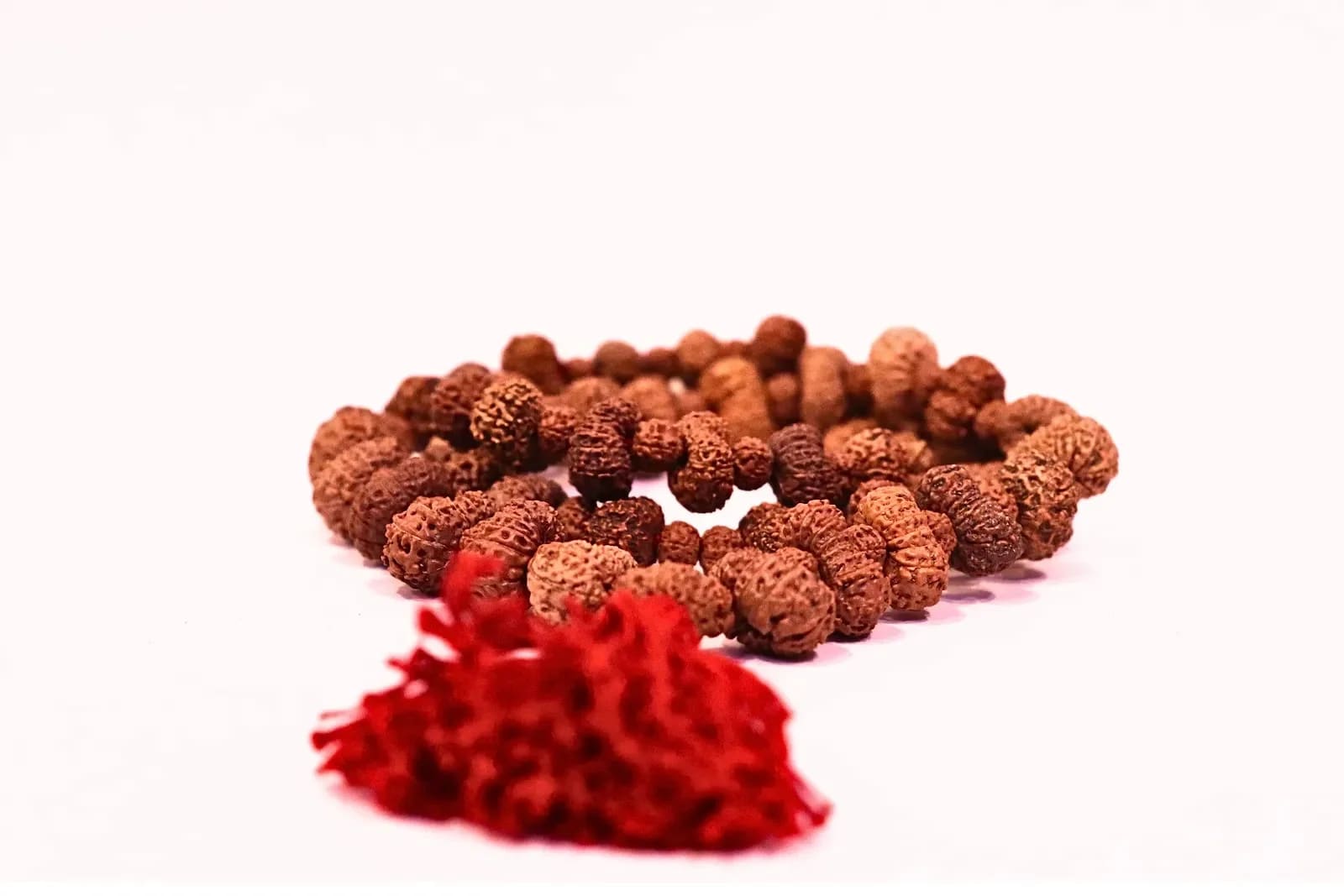 14-mukhi-rudraksha-japa-mala - view 2