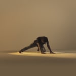 Adductor rocks