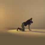 Quadruped thoracic rotations