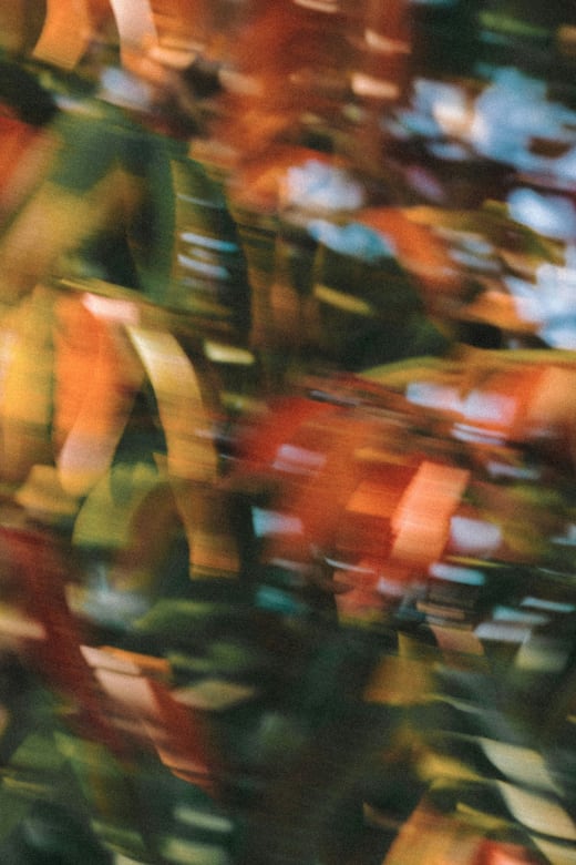 From distress to alignment with Tiril 