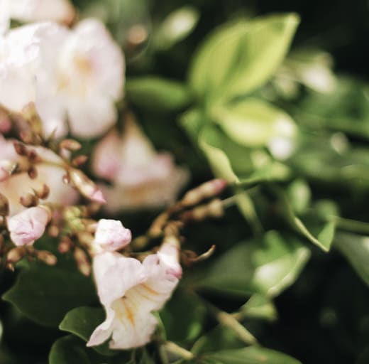 Does my menstrual cycle affect my HRV?