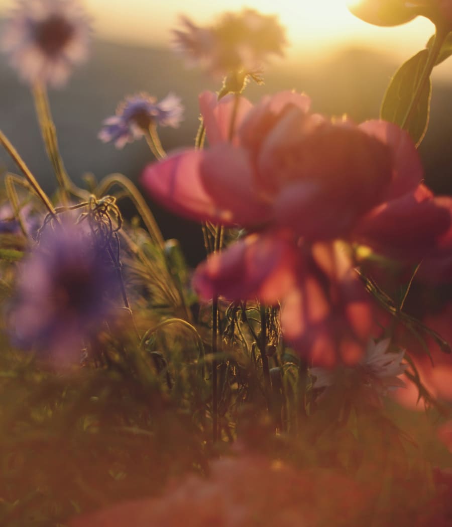 Sound meditation
