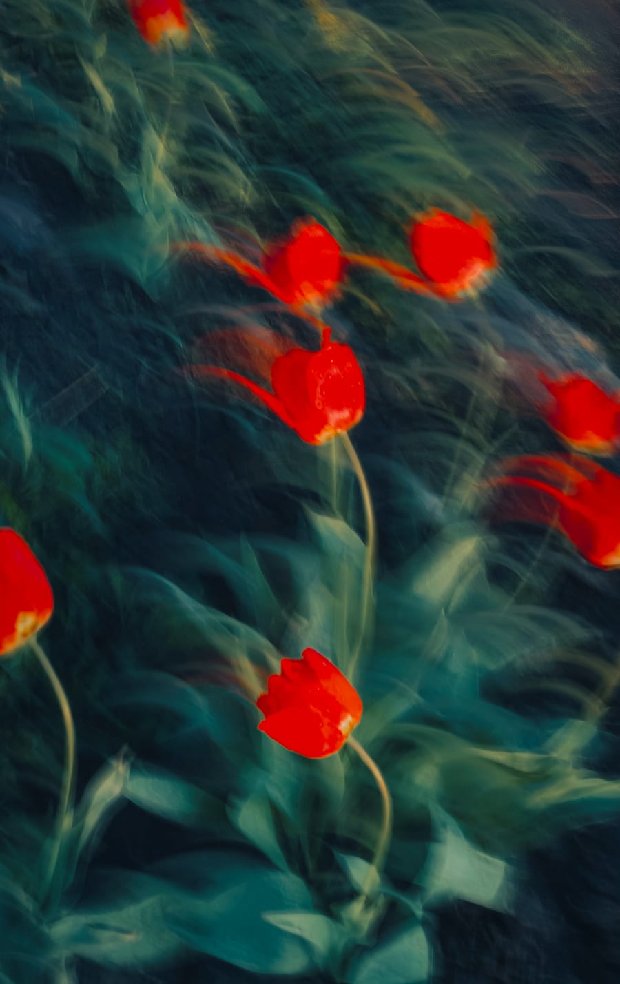 Finding your focus balance