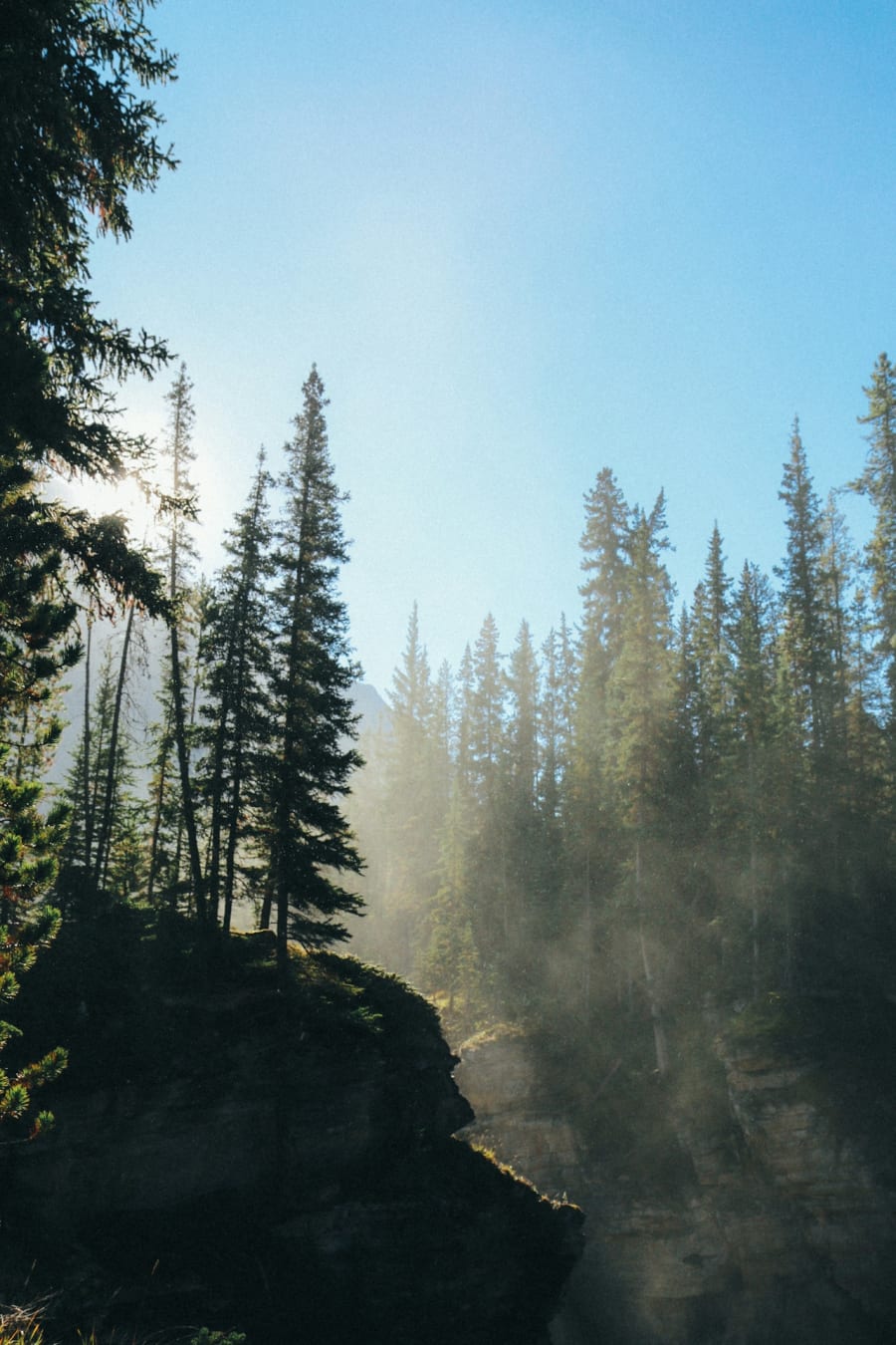Nature chimes