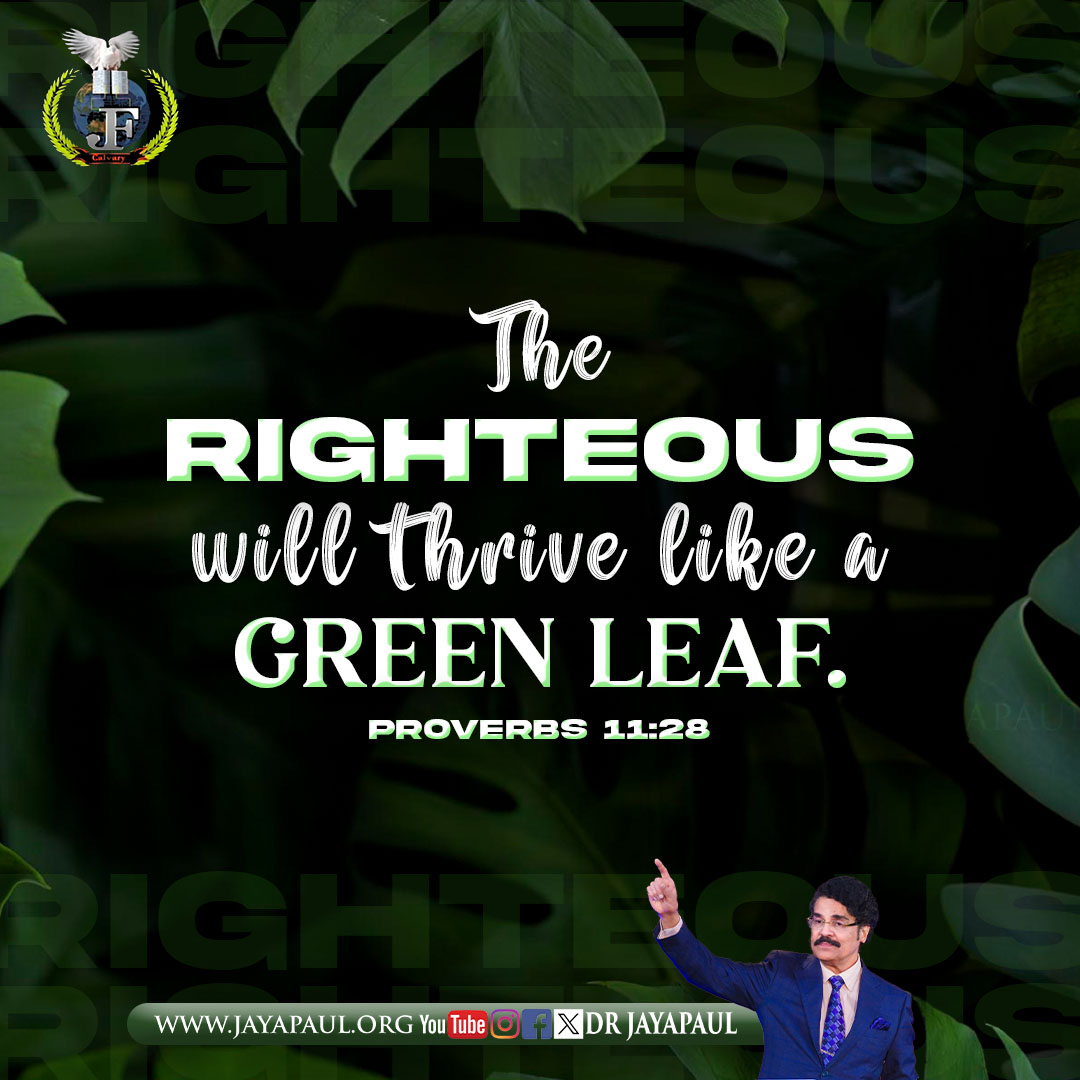 Daily Verse
