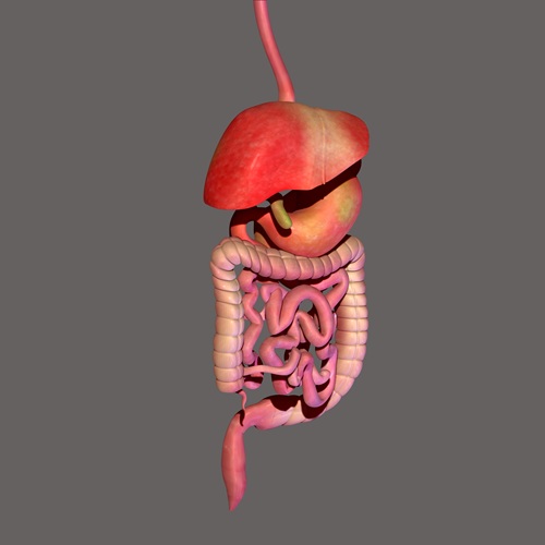Endoscopic Retrograde Cholangiopancreatography