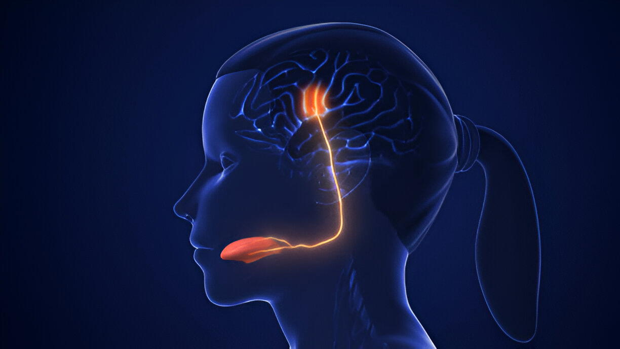 Auditory Brainstem Response (ABR)