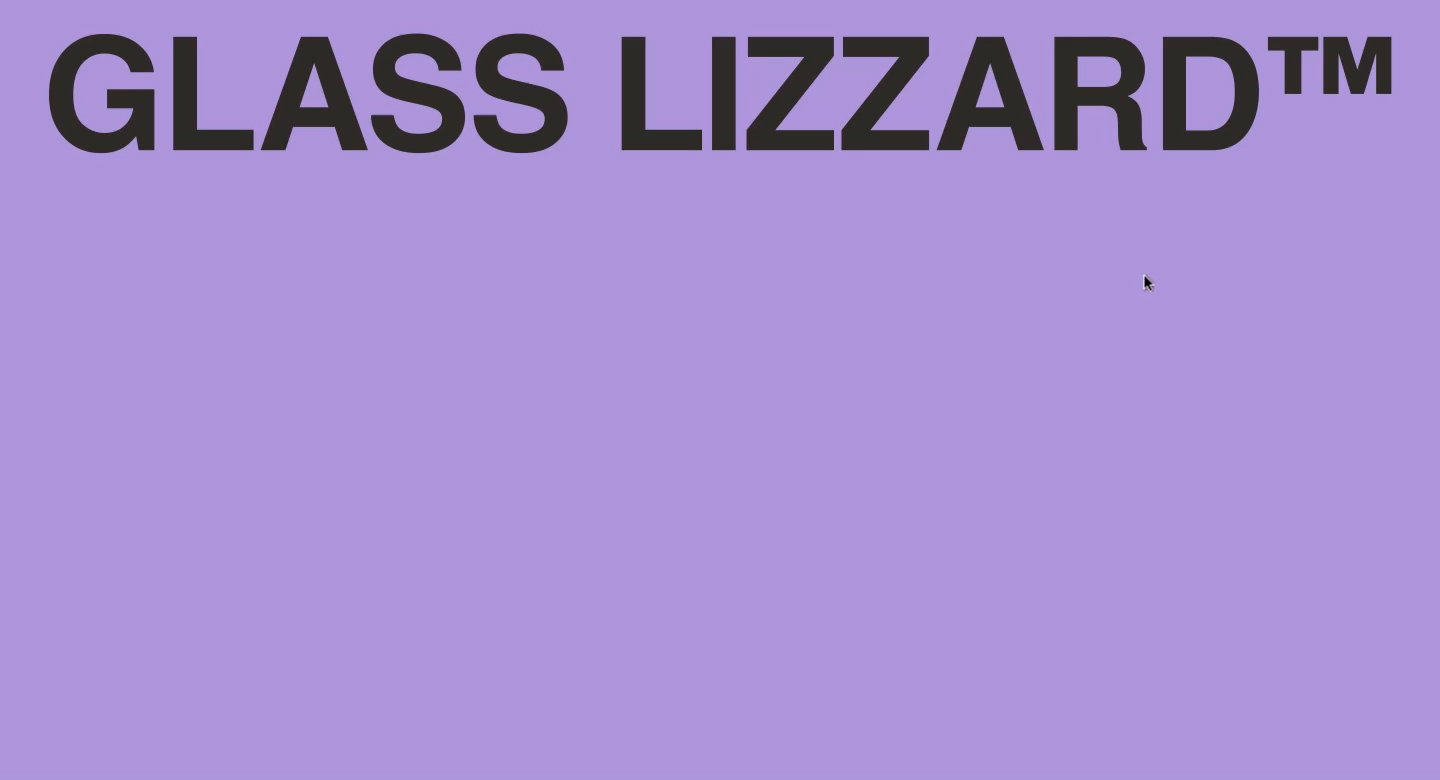 glasslizzard case image