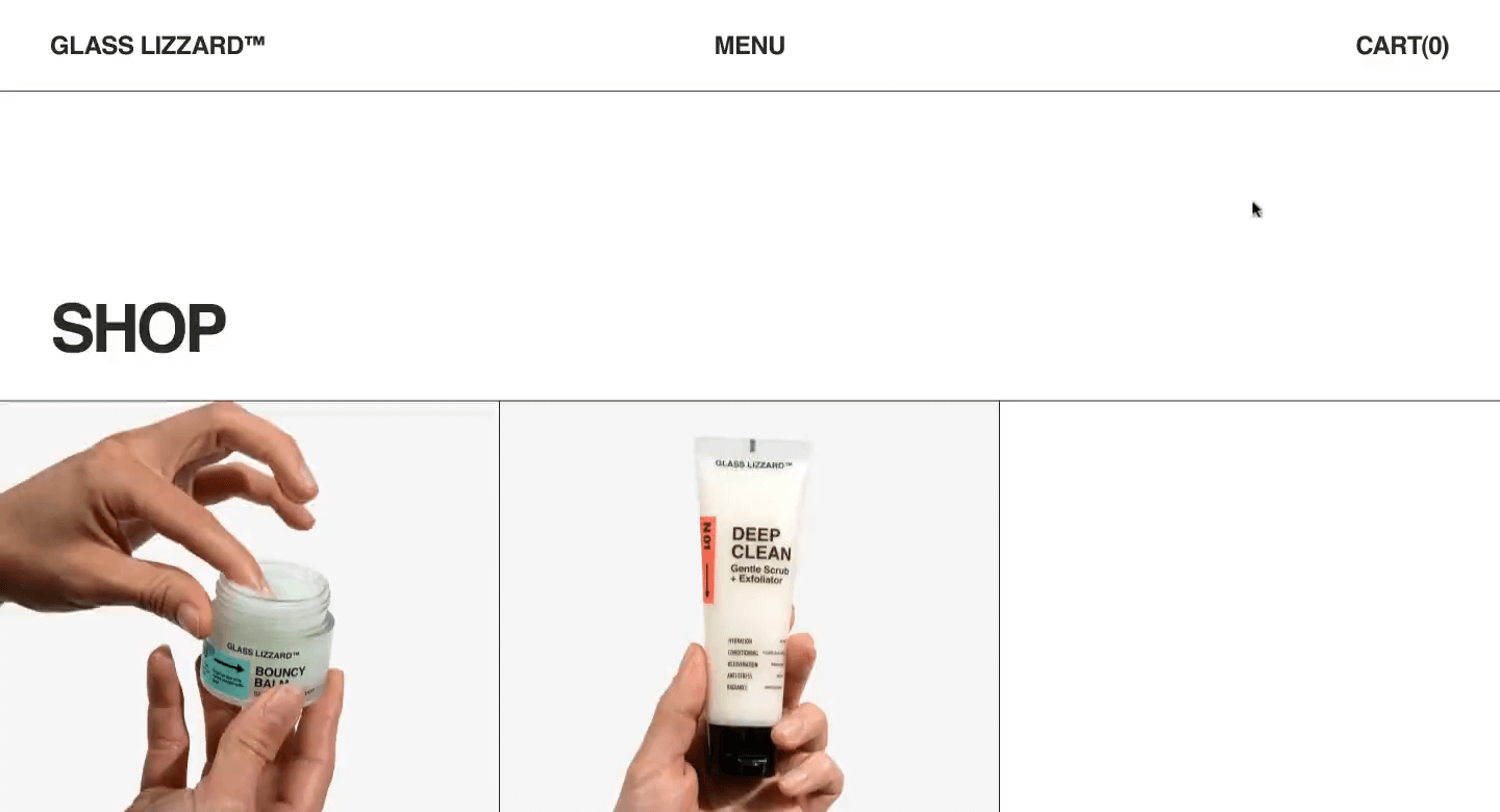 glasslizzard case image