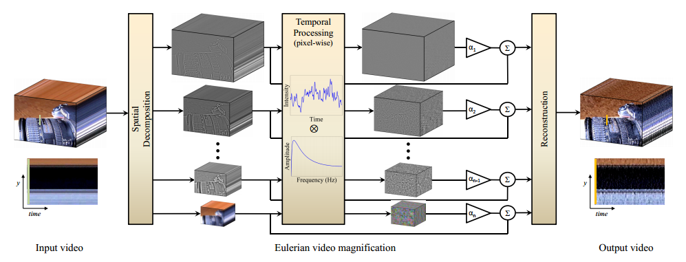 Eulerian Video Motion Mag