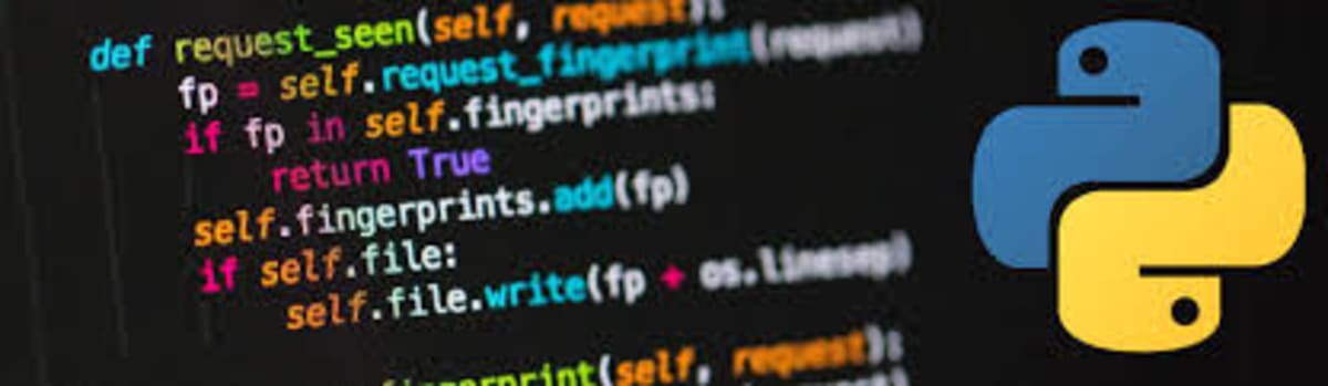 Python Basics You Should Know Beginner Guide