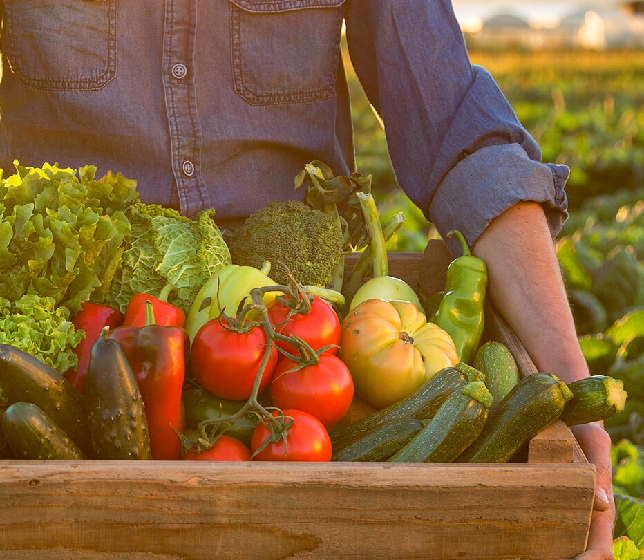 Agriculture Products