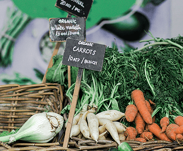 Global Agricultural Trade