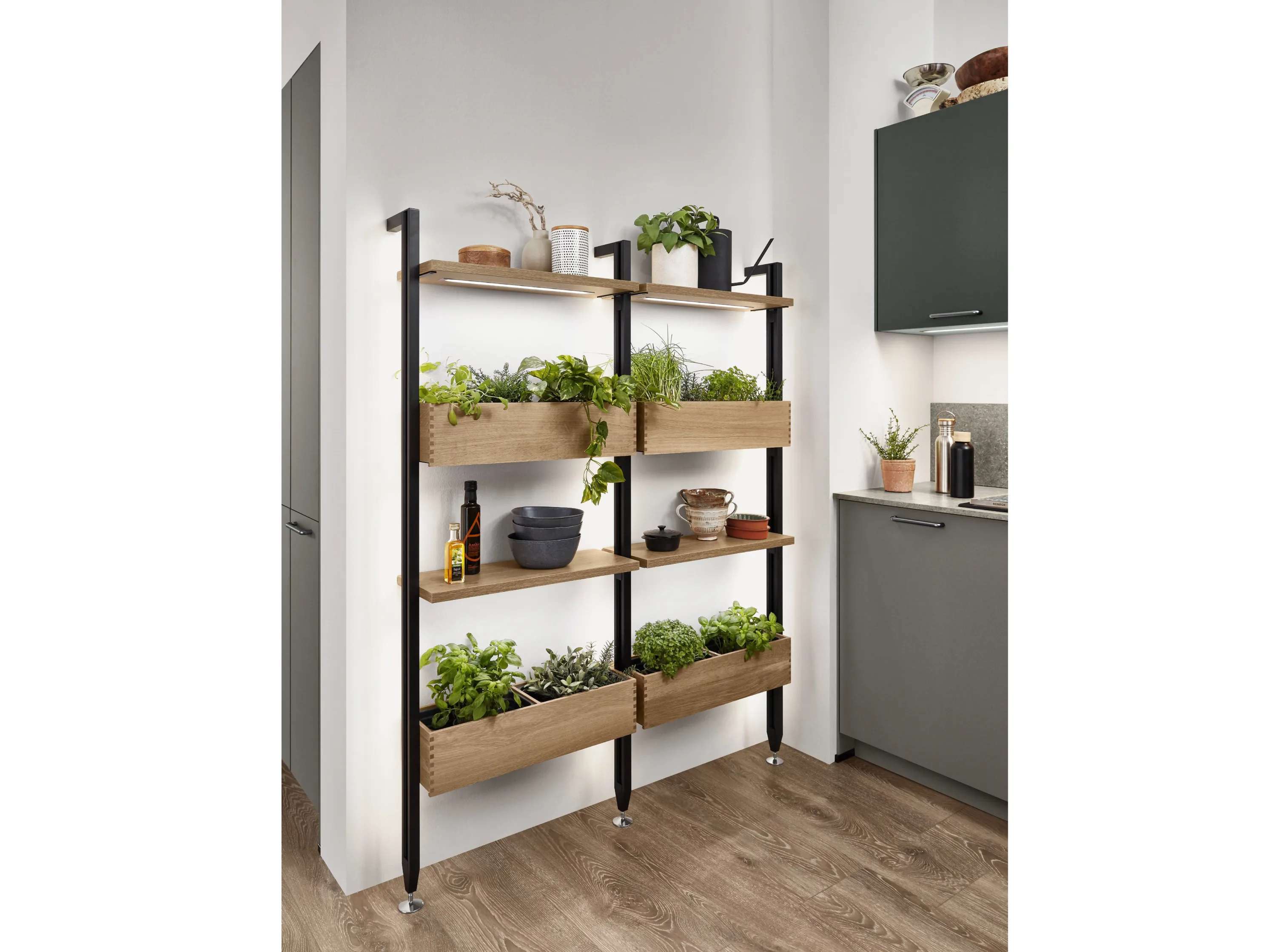 Hölzernes Regal mit Pflanzen darauf